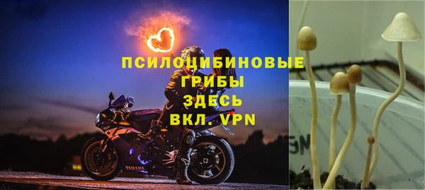 СК Беломорск