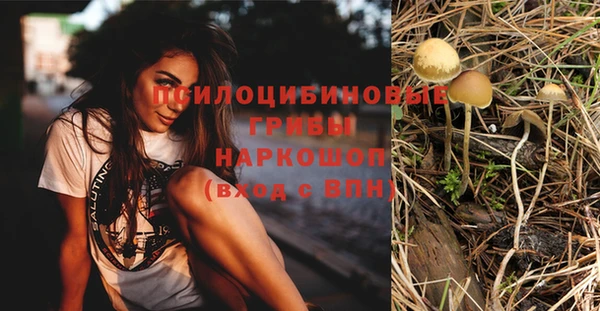 шишки Белоозёрский