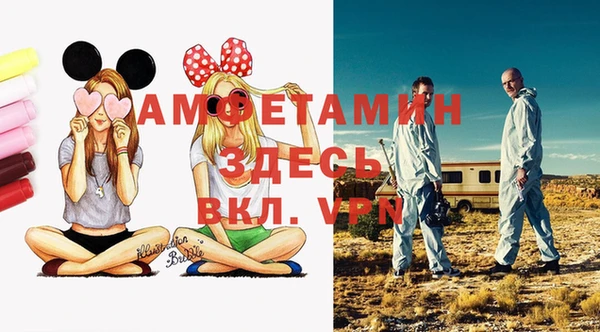 шишки Белоозёрский
