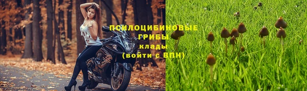 кокаин колумбия Белокуриха