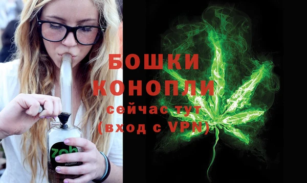 шишки Белоозёрский