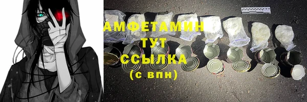 шишки Белоозёрский