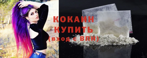 шишки Белоозёрский