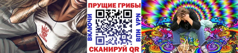 купить   Тогучин  Псилоцибиновые грибы Psilocybine cubensis 